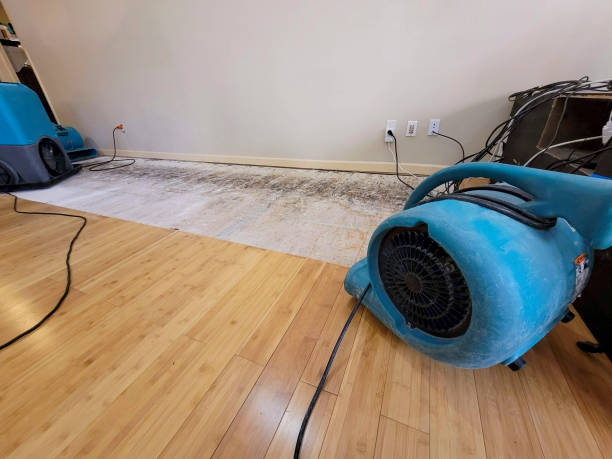 Professional Sewage Cleanup technician working in Sayville, NY